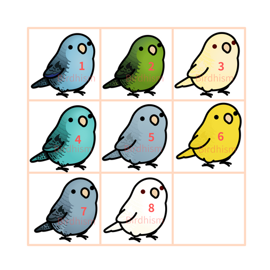 Chubby Bird　木製チャーム　サザナミインコ　8種　受注製作　クーポン利用不可