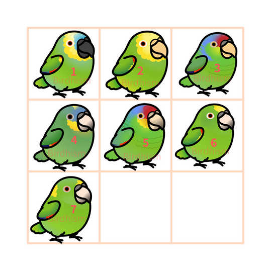 Chubby Bird　木製キーホルダー　ボウシインコ　7種　受注製作　クーポン利用不可