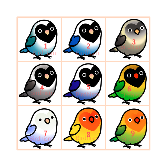 Chubby Bird　木製チャーム　ボタンインコ　11種　受注製作　クーポン利用不可