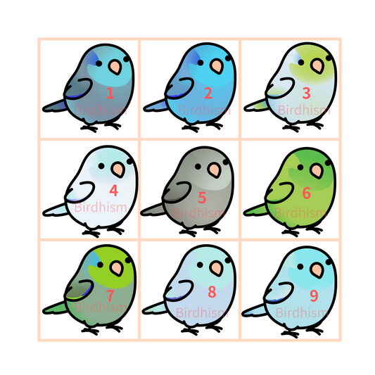 Chubby Bird　木製チャーム　マメルリハ　13種　受注製作　クーポン利用不可