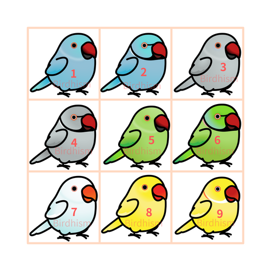 Chubby Bird　木製チャーム　ワカケホンセイインコ　15種　受注製作　クーポン利用不可