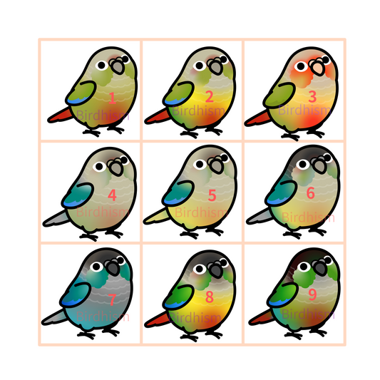Chubby Bird　木製チャーム　ウロコインコ　10種　受注製作　クーポン利用不可
