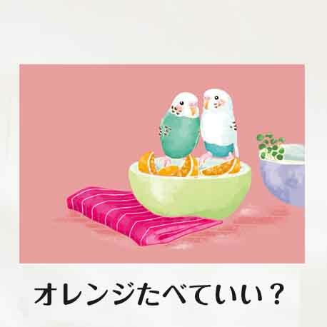 ポストカード　セキセイインコ　5種5枚セット
