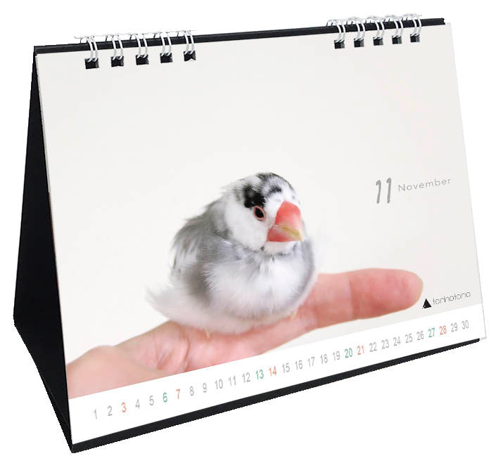 （予約販売）2027年版　今日のぶんこカレンダー 卓上タイプ　文鳥