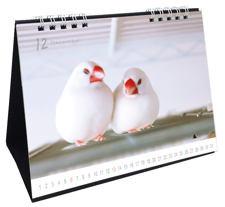 （予約販売）2026年版　今日のぶんこカレンダー 卓上タイプ　文鳥