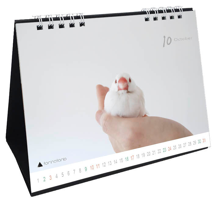 （予約販売）2027年版　今日のぶんこカレンダー 卓上タイプ　文鳥