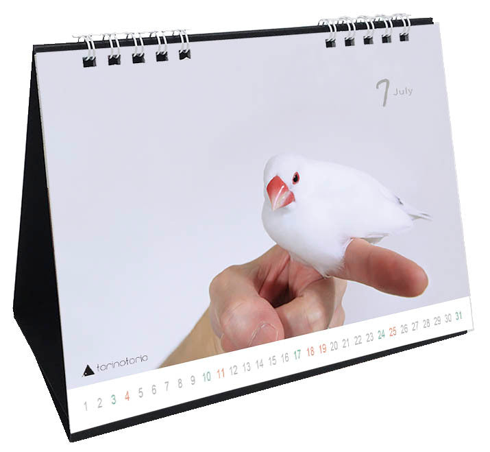 （予約販売）2027年版　今日のぶんこカレンダー 卓上タイプ　文鳥