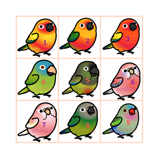 Chubby Bird　木製キーホルダー　いろんな鳥さん　9種　受注製作　クーポン利用不可