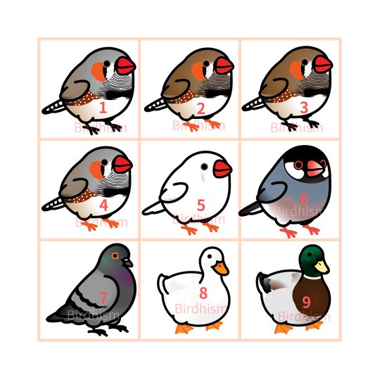 Chubby Bird　木製キーホルダー　いろんな鳥さん　9種　受注製作　クーポン利用不可