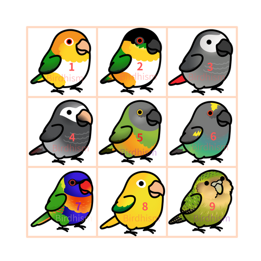 Chubby Bird　木製チャーム　いろんな鳥さん　9種　受注製作　クーポン利用不可
