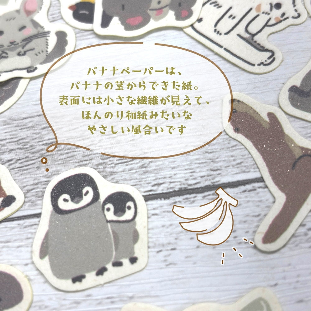 バナナペーパーフレークシール･絶滅危惧種　コウテイペンギン