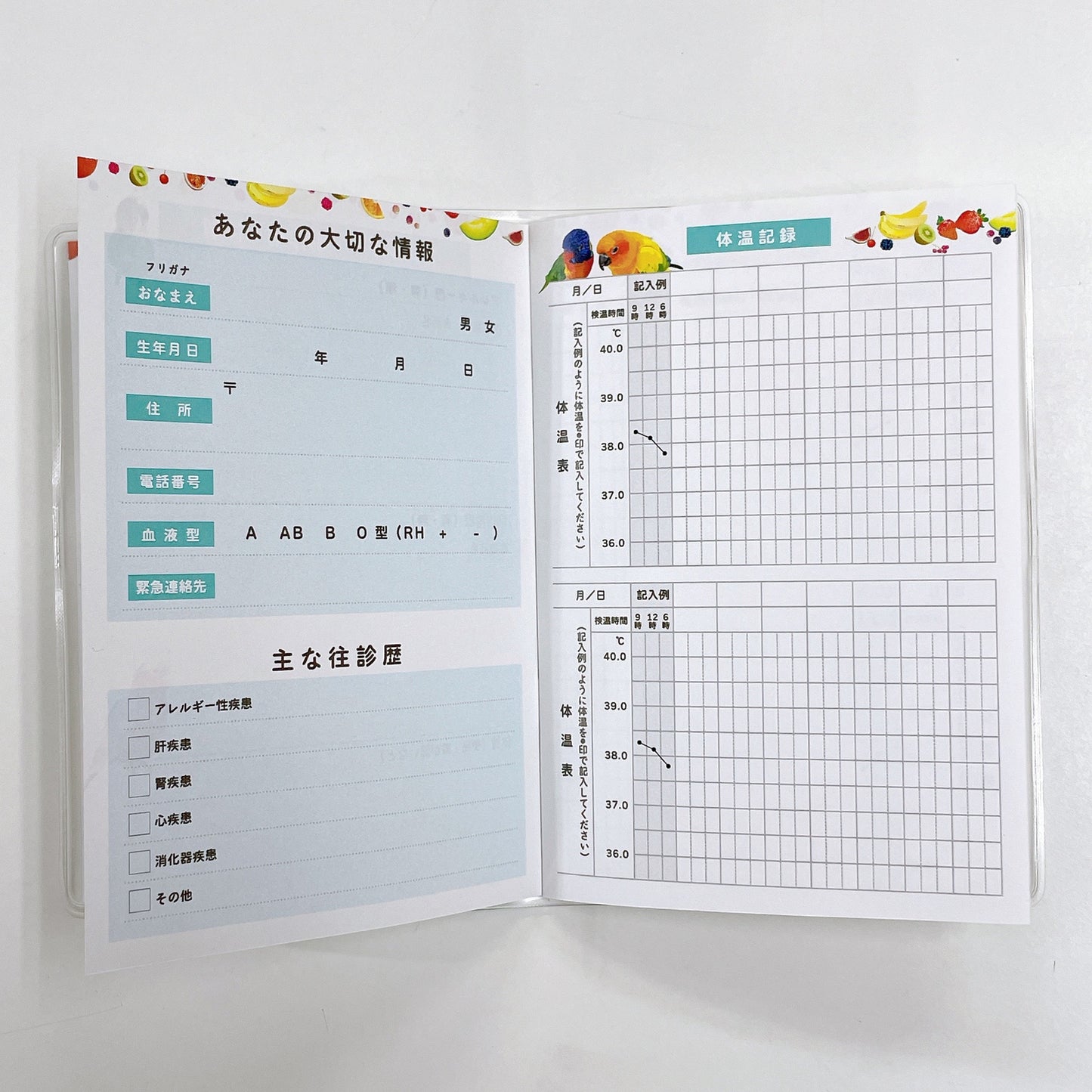 お薬手帳　とりアート　ロリキート - Sweet Birdie Boutique