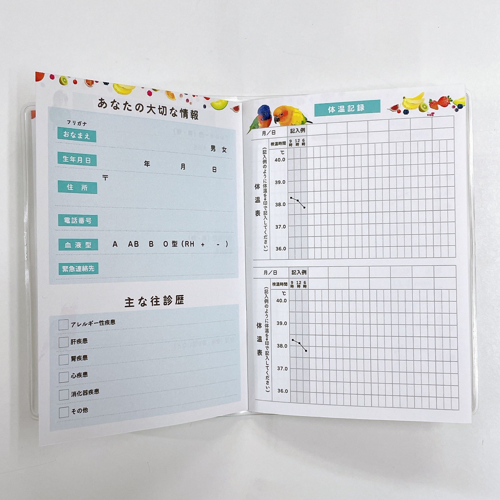 お薬手帳　とりアート　ロリキート - Sweet Birdie Boutique