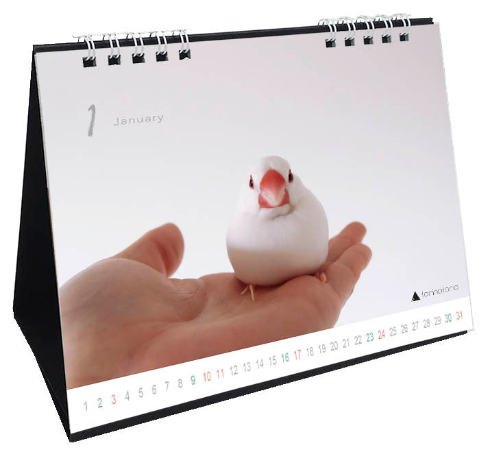 （予約販売）2027年版　今日のぶんこカレンダー 卓上タイプ　文鳥