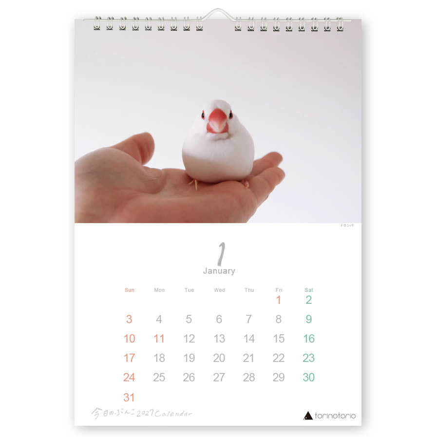 （予約販売）2027年版  今日のぶんこ  A4壁掛けカレンダー  文鳥