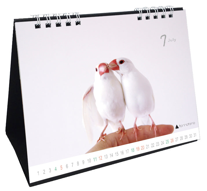 （予約販売）2026年版　今日のぶんこカレンダー 卓上タイプ　文鳥