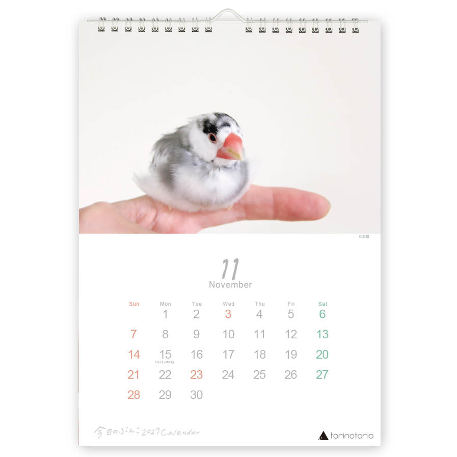 （予約販売）2027年版  今日のぶんこ  A4壁掛けカレンダー  文鳥