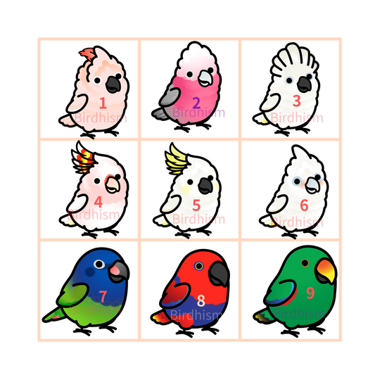 Chubby Bird　木製キーホルダー　いろんな鳥さん　9種　受注製作　クーポン利用不可