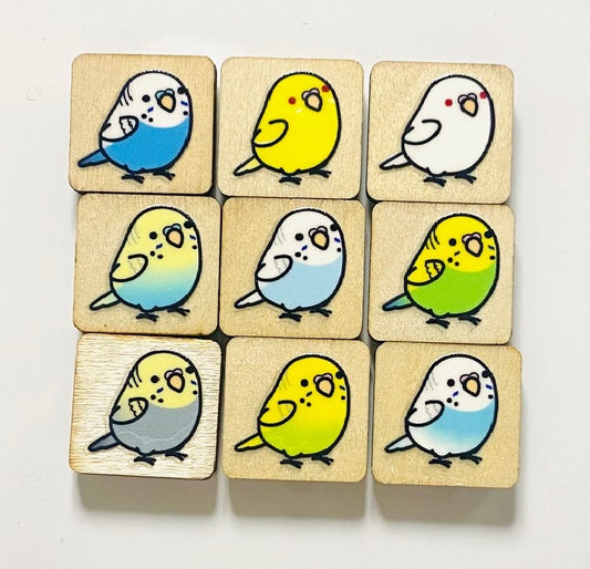 Chubby Bird　木製マグネット　セキセイインコ　1　ミニサイズ　9個セット　四角型　クーポン利用不可