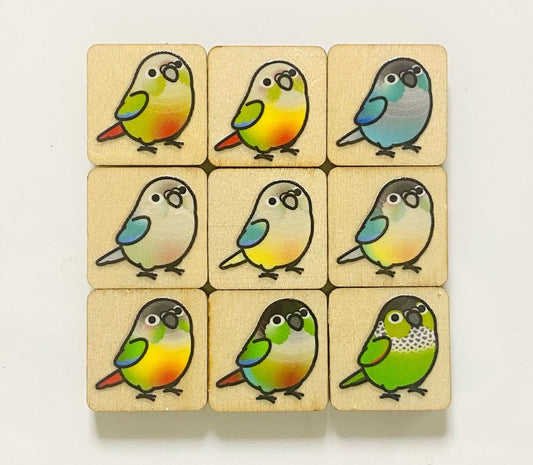 Chubby Bird　木製マグネット　ウロコインコ　ミニサイズ　9個セット　四角型　クーポン利用不可 - Sweet Birdie Boutique