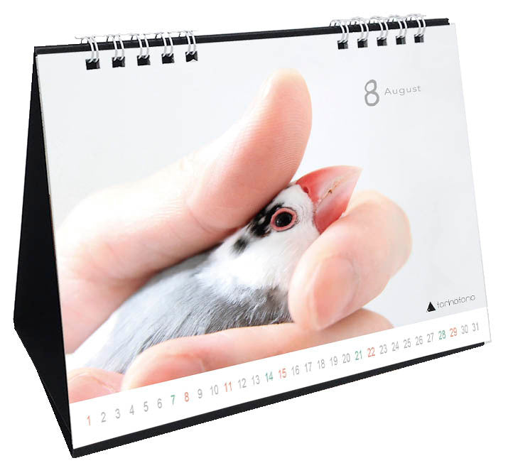 （予約販売）2027年版　今日のぶんこカレンダー 卓上タイプ　文鳥