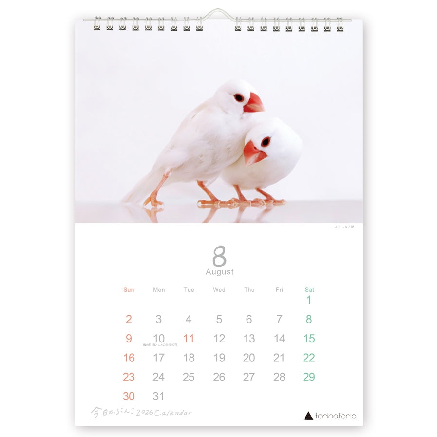 （予約販売）2026年版  今日のぶんこ  A4壁掛けカレンダー  文鳥
