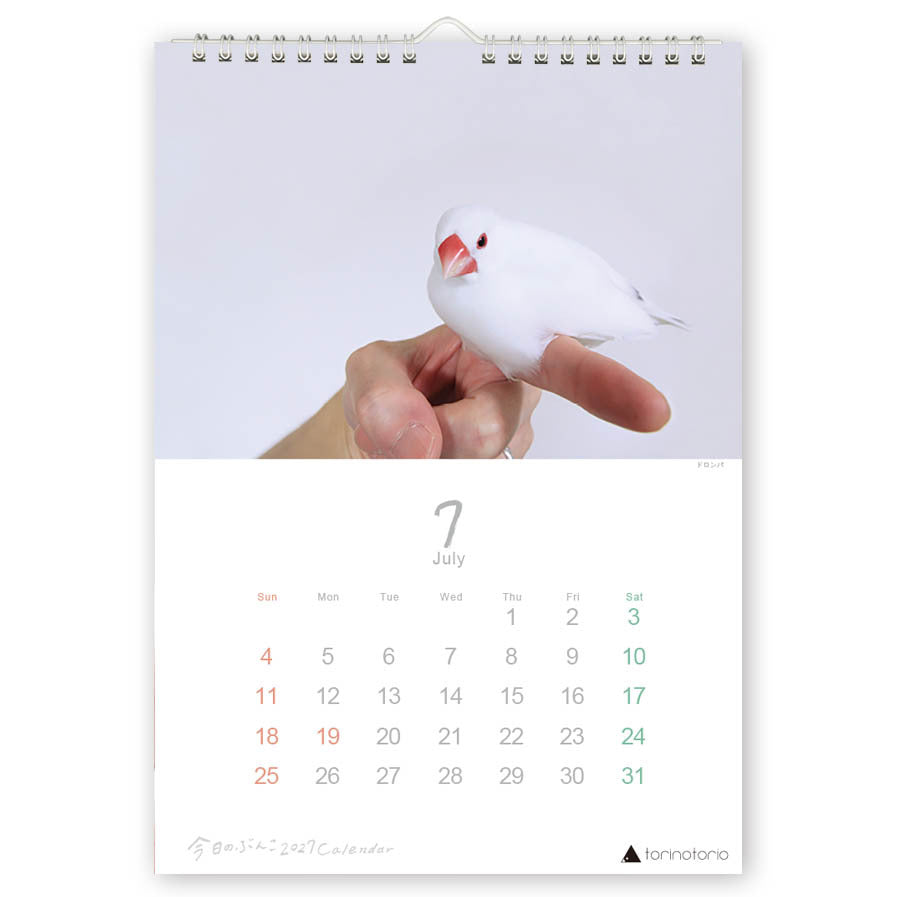 （予約販売）2027年版  今日のぶんこ  A4壁掛けカレンダー  文鳥