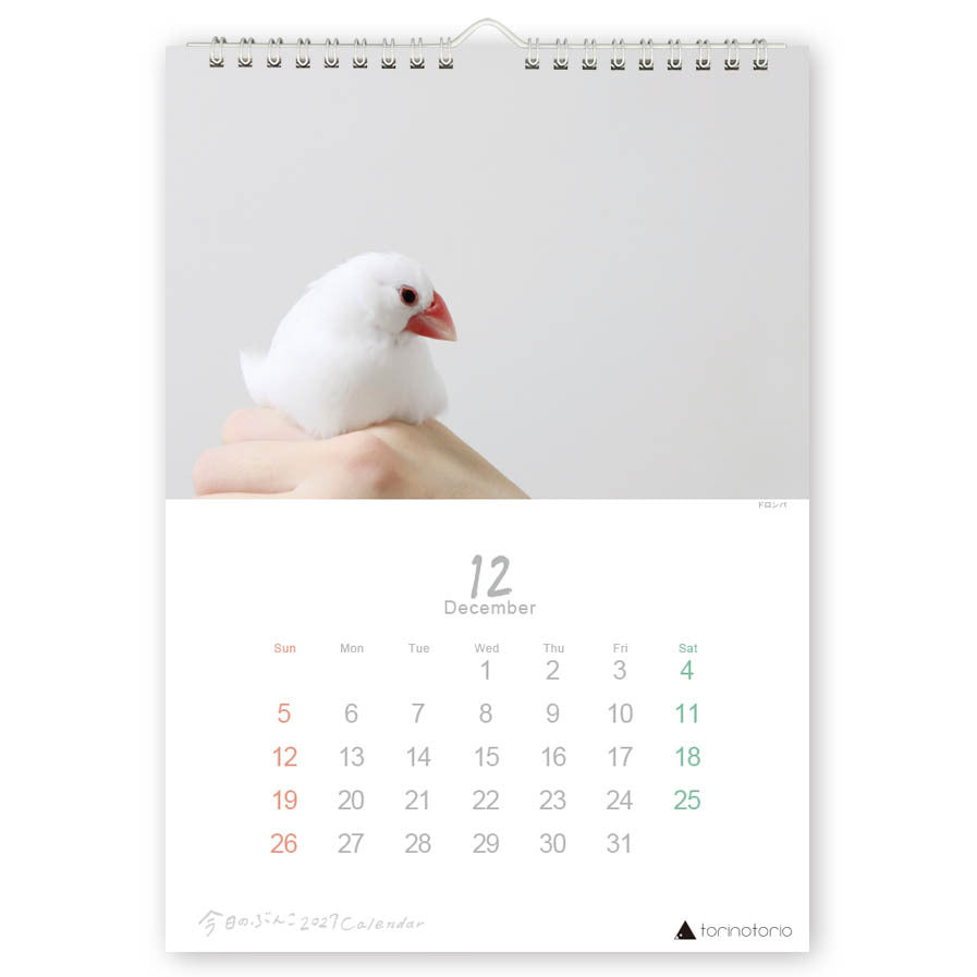 （予約販売）2027年版  今日のぶんこ  A4壁掛けカレンダー  文鳥