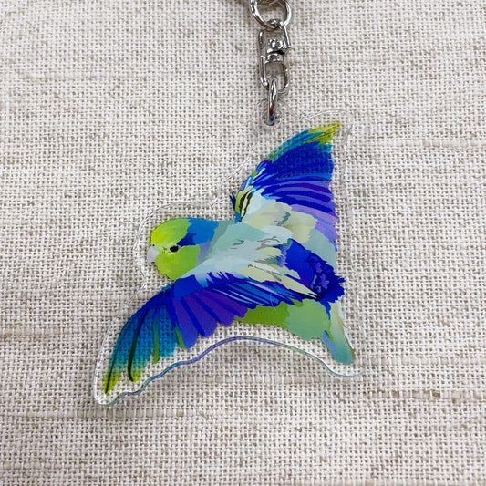 受注製作　アクリルキーホルダー　とりアート　マメルリハ　羽ばたき　クーポン利用不可