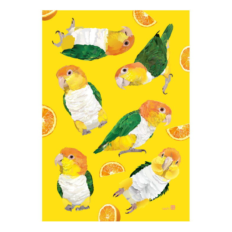 メモ帳 ミニ とりアート　シロハラインコ