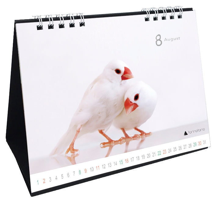 （予約販売）2026年版　今日のぶんこカレンダー 卓上タイプ　文鳥