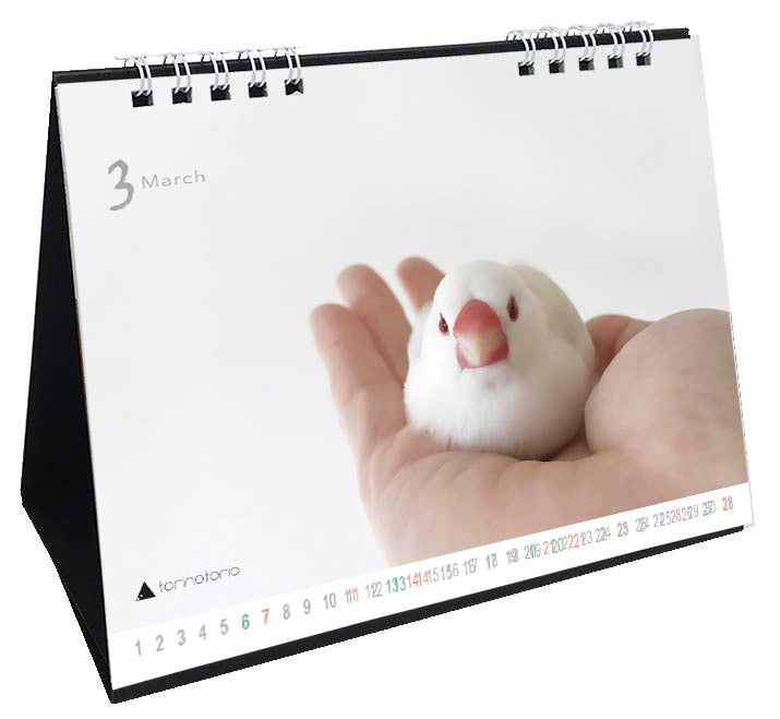 （予約販売）2027年版　今日のぶんこカレンダー 卓上タイプ　文鳥