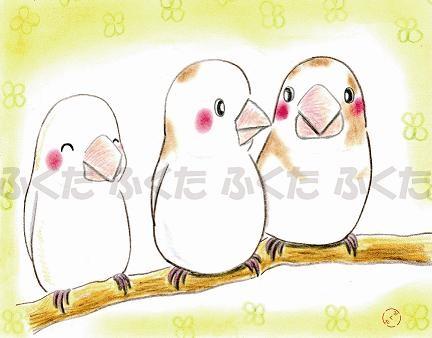 ポストカード　十姉妹ちゃん達 - 小鳥雑貨専門のお店　スウィート・バーディー・ブティック