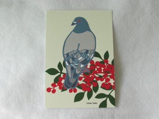 ポストカード 見返り鳩（びじん） - 小鳥雑貨専門のお店　スウィート・バーディー・ブティック