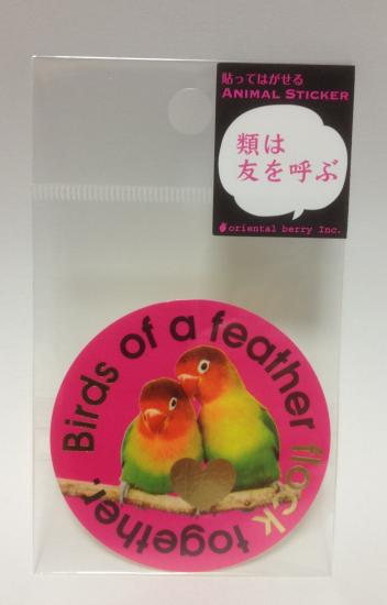 ステッカー　ボタンインコ　類は友を呼ぶ - 小鳥雑貨専門のお店　スウィート・バーディー・ブティック