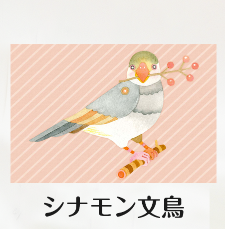 ポストカード　 シナモン文鳥 - 小鳥雑貨専門のお店　スウィート・バーディー・ブティック