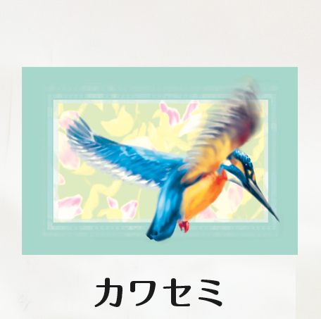 ポストカード 　カワセミ - 小鳥雑貨専門のお店　スウィート・バーディー・ブティック