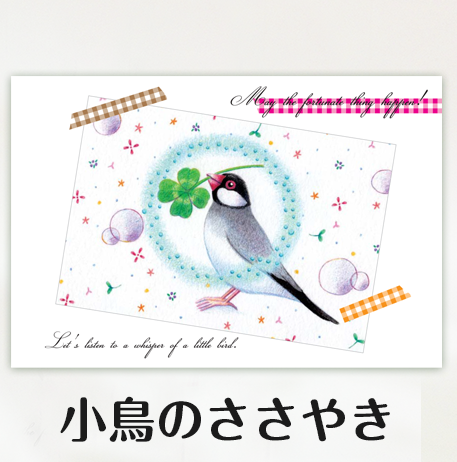 ポストカード 　小鳥のささやき　（文鳥） - 小鳥雑貨専門のお店　スウィート・バーディー・ブティック