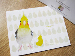 グリーティングカード "I miss you"　オカメインコ　封筒付き二つ折りカード - 小鳥雑貨専門のお店　スウィート・バーディー・ブティック
