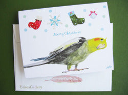 グリーティングカード　クリスマスカード　オカメインコ　封筒付き二つ折りカード - 小鳥雑貨専門のお店　スウィート・バーディー・ブティック