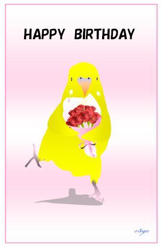 お誕生日おめでとう！セキセイインコ　ポストカード - 小鳥雑貨専門のお店　スウィート・バーディー・ブティック