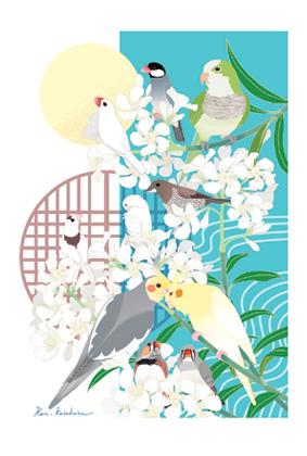 小鳥とお花のポストカード　オカメインコ、オキナインコ、文鳥、十姉妹、錦華鳥 - 小鳥雑貨専門のお店　スウィート・バーディー・ブティック