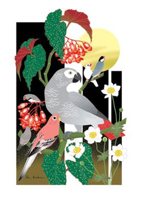 小鳥とお花のポストカード　ヨウム、アキクサインコ、文鳥、錦華鳥 - 小鳥雑貨専門のお店　スウィート・バーディー・ブティック