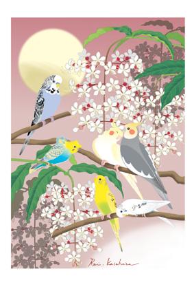 小鳥とお花のポストカード　オカメインコ、セキセイインコ - 小鳥雑貨専門のお店　スウィート・バーディー・ブティック