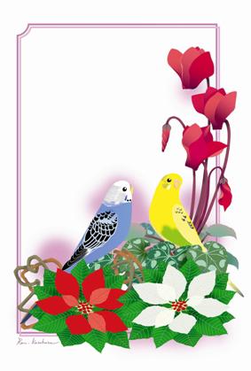 小鳥とお花のポストカード　セキセイインコ - 小鳥雑貨専門のお店　スウィート・バーディー・ブティック