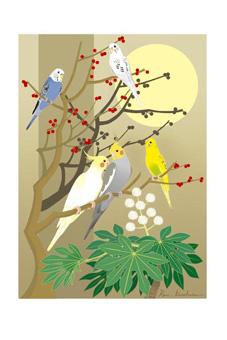 小鳥とお花のポストカード セキセイインコ、オカメインコ - 小鳥雑貨専門のお店　スウィート・バーディー・ブティック
