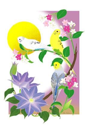 小鳥とお花のポストカード セキセイインコ - 小鳥雑貨専門のお店　スウィート・バーディー・ブティック