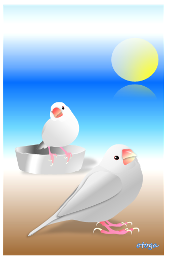 白文鳥　ポストカード - 小鳥雑貨専門のお店　スウィート・バーディー・ブティック