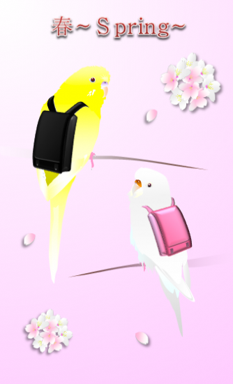 春～Spring~(1)　ポストカード セキセイインコ - 小鳥雑貨専門のお店　スウィート・バーディー・ブティック