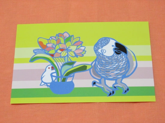 ポストカード　かくれんぼ　ヨウム　文鳥 - 小鳥雑貨専門のお店　スウィート・バーディー・ブティック